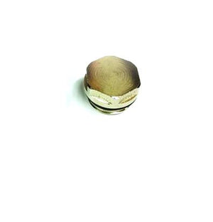 Radiator Plug