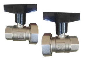 1' Pump Valve (pair)
