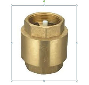Spring Check Valve 3/4"