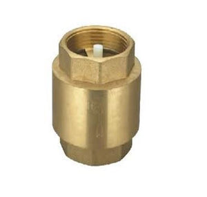 Spring Check Valve 1/2"
