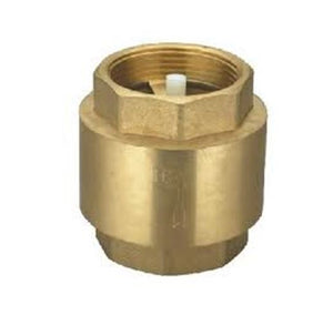 Spring Check Valve 1"